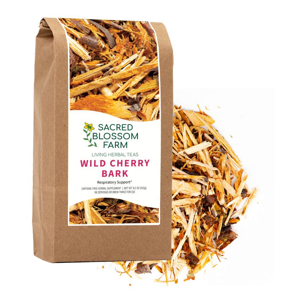 Wild+Cherry+Bark.png?format=1000w